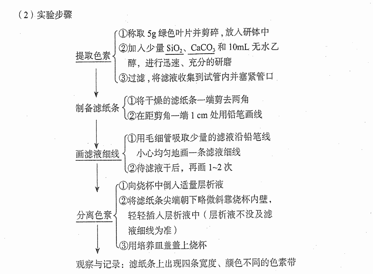 picgo-2025-09-10-00-29-04
