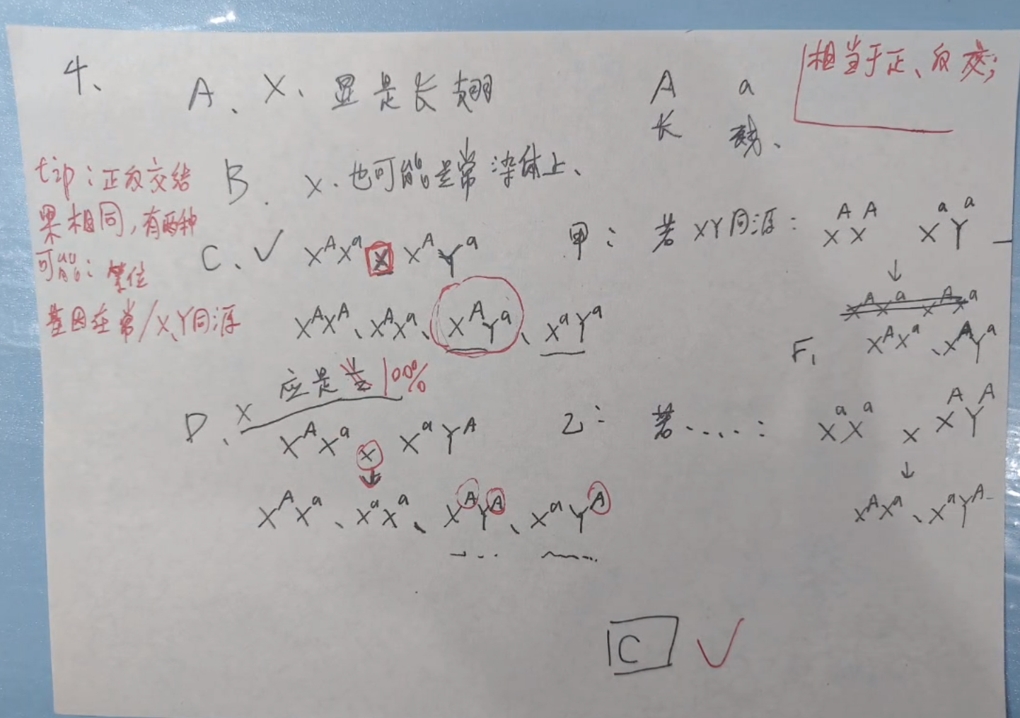 picgo-2025-11-15-02-09-04
