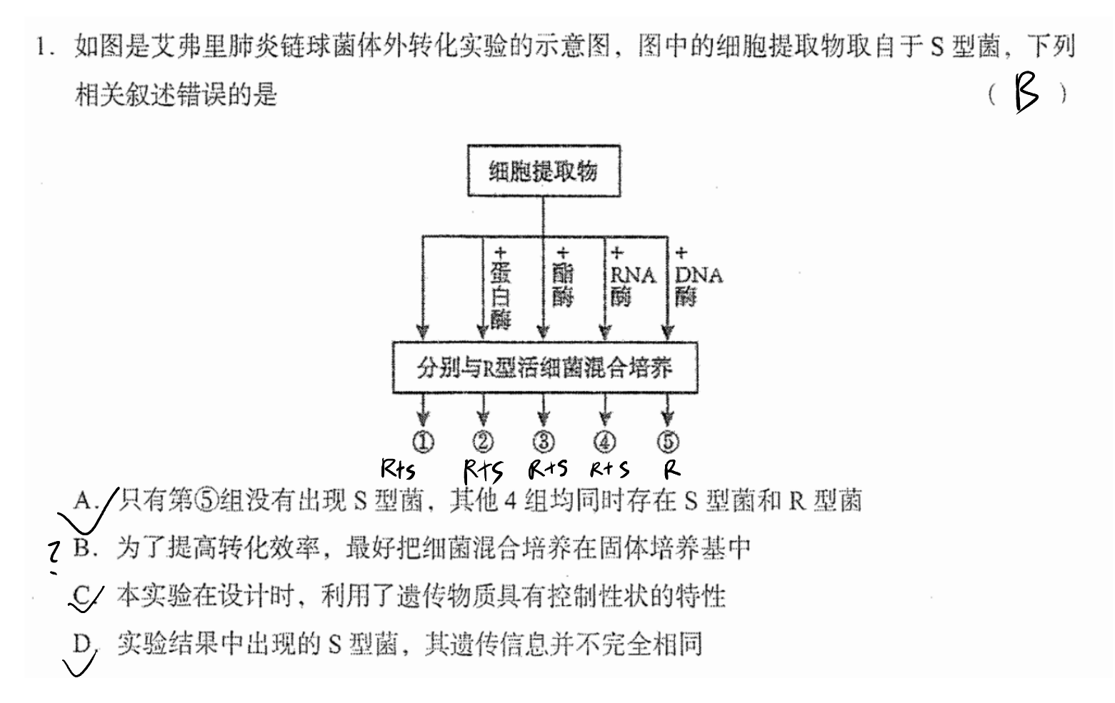 picgo-2026-02-22-03-51-47
